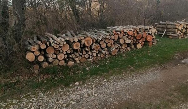 Pet muškaraca prijavljeno zbog krađe drva, oštećena tvrtka iz Poreča
