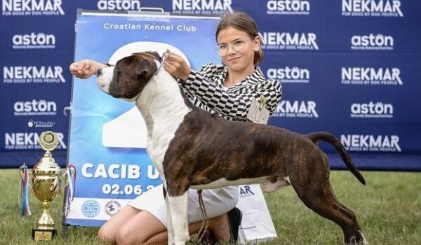 Evelyn Kvesić ponovno briljira na međunarodnoj izložbi pasa