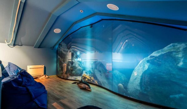 Dupini vas čekaju: Centar MoreMore u Vrsaru obilježava Svjetski dan turizma