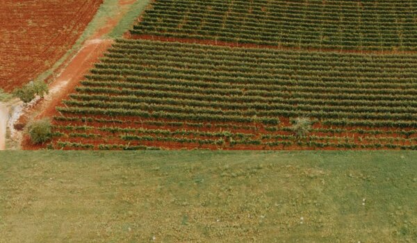Vižinada financira traktore, plastenike i navodnjavanje