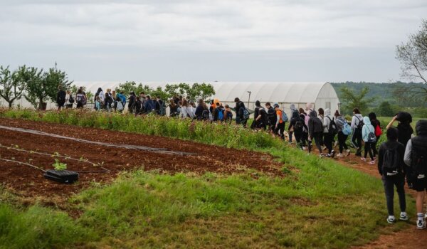 Labinski učenici posjetili OPG Križmanić u okviru projekta "Valamar brine za marende fine"