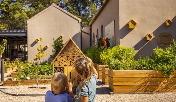 Valamar u prošloj godini izgradio više od 400 nastambi za  kukce, ptice i druge male životinje