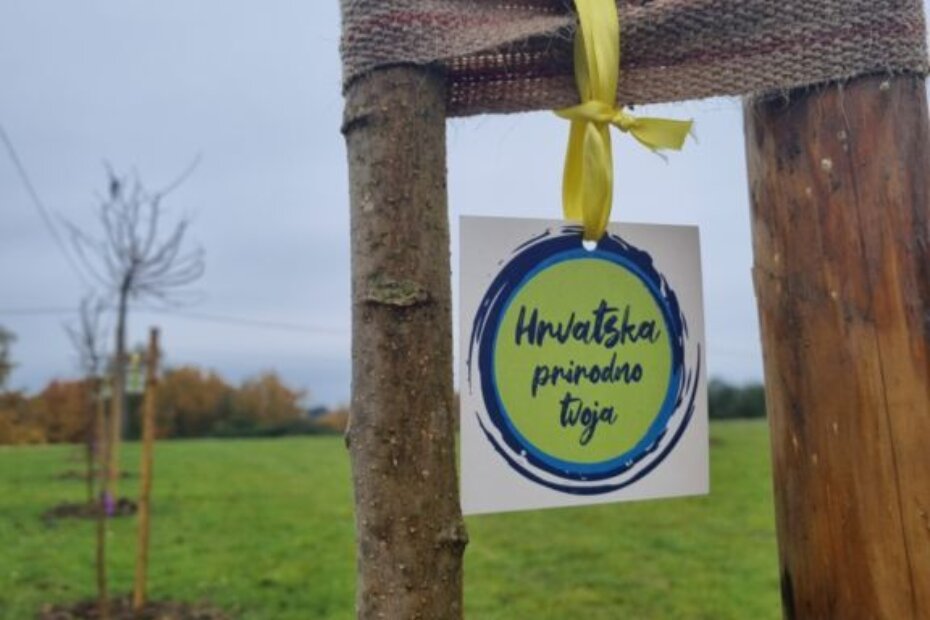 Crne murve u Vižinadi