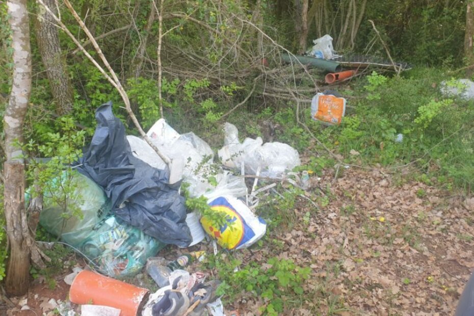 Zagađenje okoliša na Finidi