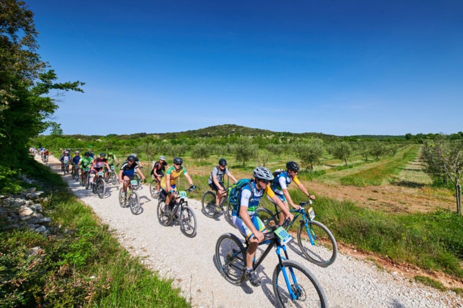 Limes Bike & Family Tour
