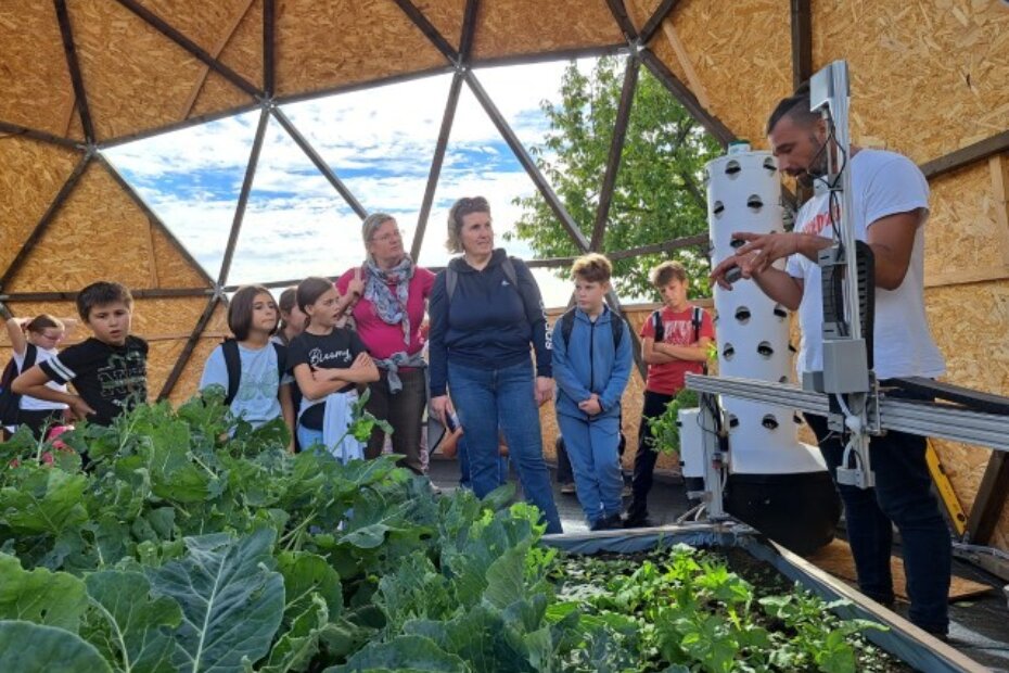 "Disconnect Connect"