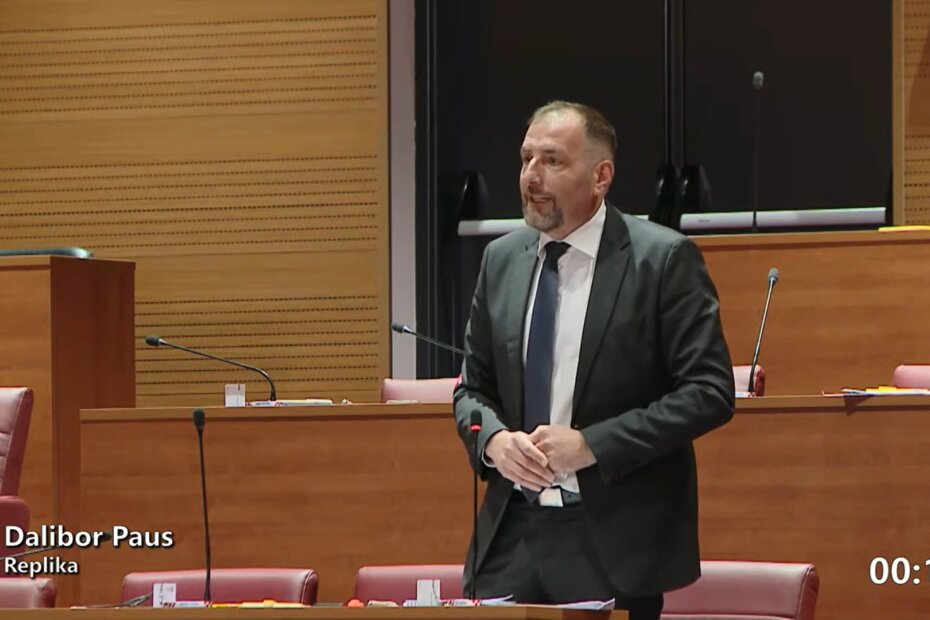 Dalibor Paus, Hrvatski sabor