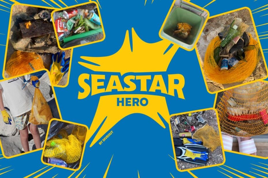 SeaStar Hero
