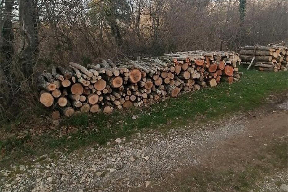 Drva za ogrjev