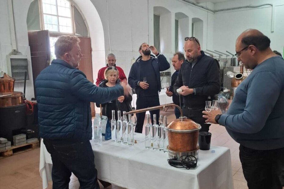 Utjecaj inaktivnog vinskog kvasca na kakvoću različitih frakcija rakije vinovice