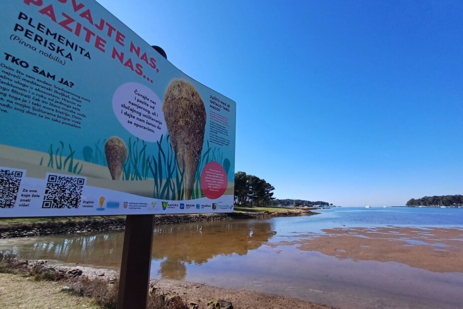 Tabela o periskama