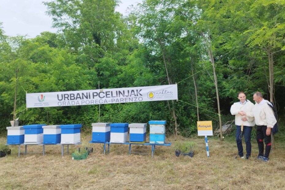 Urbani pčelinjak